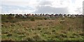 Houses across Pebsham Conservation Area