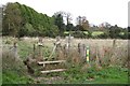 Stile by an overgrown paddock, Leek Wootton