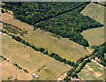 Aerial view of the northern corner of Pound Wood