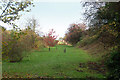 Disused railway trackbed, Radford Semele