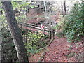 Footbridge over Cluny Burn