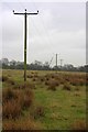 NZ4230 : Electricity Transmission Poles, Embleton Moor by Mick Garratt