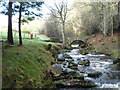 Bridge over Cluny Burn