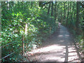 Public Bridleway through High Park Wood