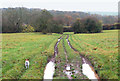 Ruts on the Ridgeway unclassified road looking south (1)