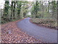 Bend in Netherwoods Road on its approach to T-junction