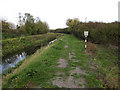 Footpath along Soham Lode