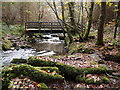 NY9959 : Footbridge over March Burn by Clive Nicholson