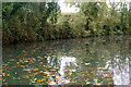 Bridge 34 to bridge 35, Grand Union Canal (2)