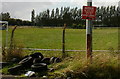 Dumped tyres , Langditch Lane, Newport