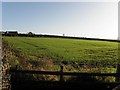 Springvale Townland