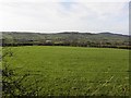 Ballybracken Townland