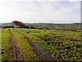 Duncansland Townland