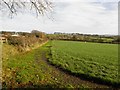 Freemanstown Townland