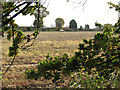 Stubble field east of Big Back Lane