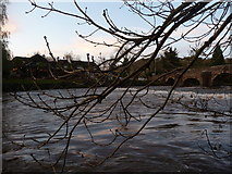 SS9307 : Bickleigh : The River Exe, Bridge & Fishermans Cot by Lewis Clarke