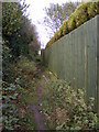 Catholic Lane Footpath