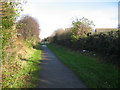 Cycle path and former waggonway