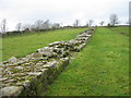 NY8871 : Hadrian's Wall near Black Carts Farm by Les Hull