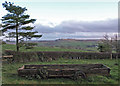 Trailer, Pattiston Farm