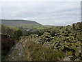 Bridleway  descending to Barley