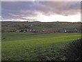 Sunlit Field, Shillford