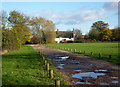 Track by the village green