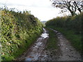 Muddy track heading towards Bradninch