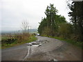 Road leading to Frankham Fell