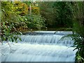 The East Wilder Brook at Bicclescombe gardens after much rain