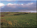 Fields, near West Uplaw Farm