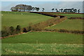 Track and bridleway, near Burrow