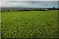 View to Dartmoor