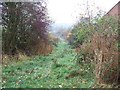 Footpath at Aston Magna