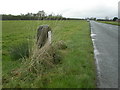 Corse Lawn, milestone