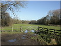 2009 : The valley of Egford Brook