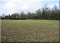 Clay Farm farmland