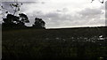 TQ0734 : Desolate field on Baynards Road by Shazz