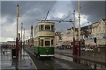 SD3035 : Timeless tram by Alan Murray-Rust