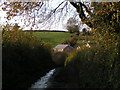 Houses on the lane to Butterleigh