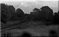 Overgrown and derelict remains of Priestfield Station. 1978.