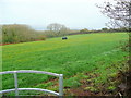 View north-east from The Ridgeway