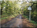 Looking north on Polecat Lane