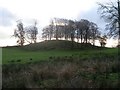 Small hill south of Waterfoot