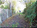 Footpath near Bratton