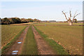 Footpath at Hunston Green