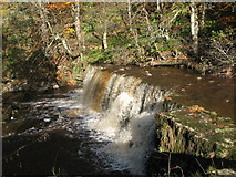 NY8452 : Waterfall on the River East Allen (8) by Mike Quinn