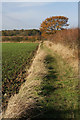 Footpath near Norton Little Green