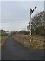 Signal at Witton-le-Wear