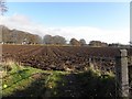 Countryside near Templepatrick